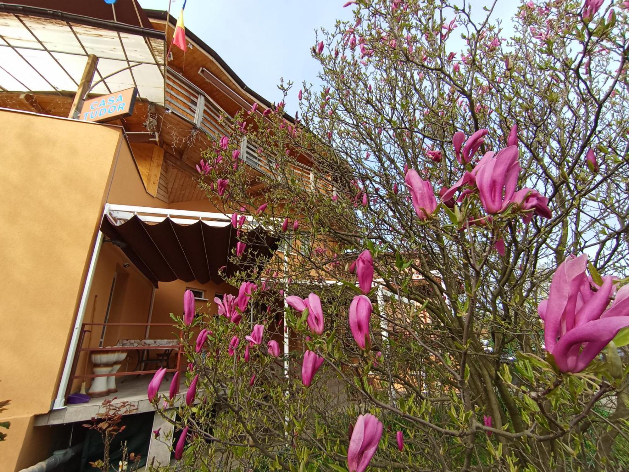 Casa Tudor 图尔达 外观 照片