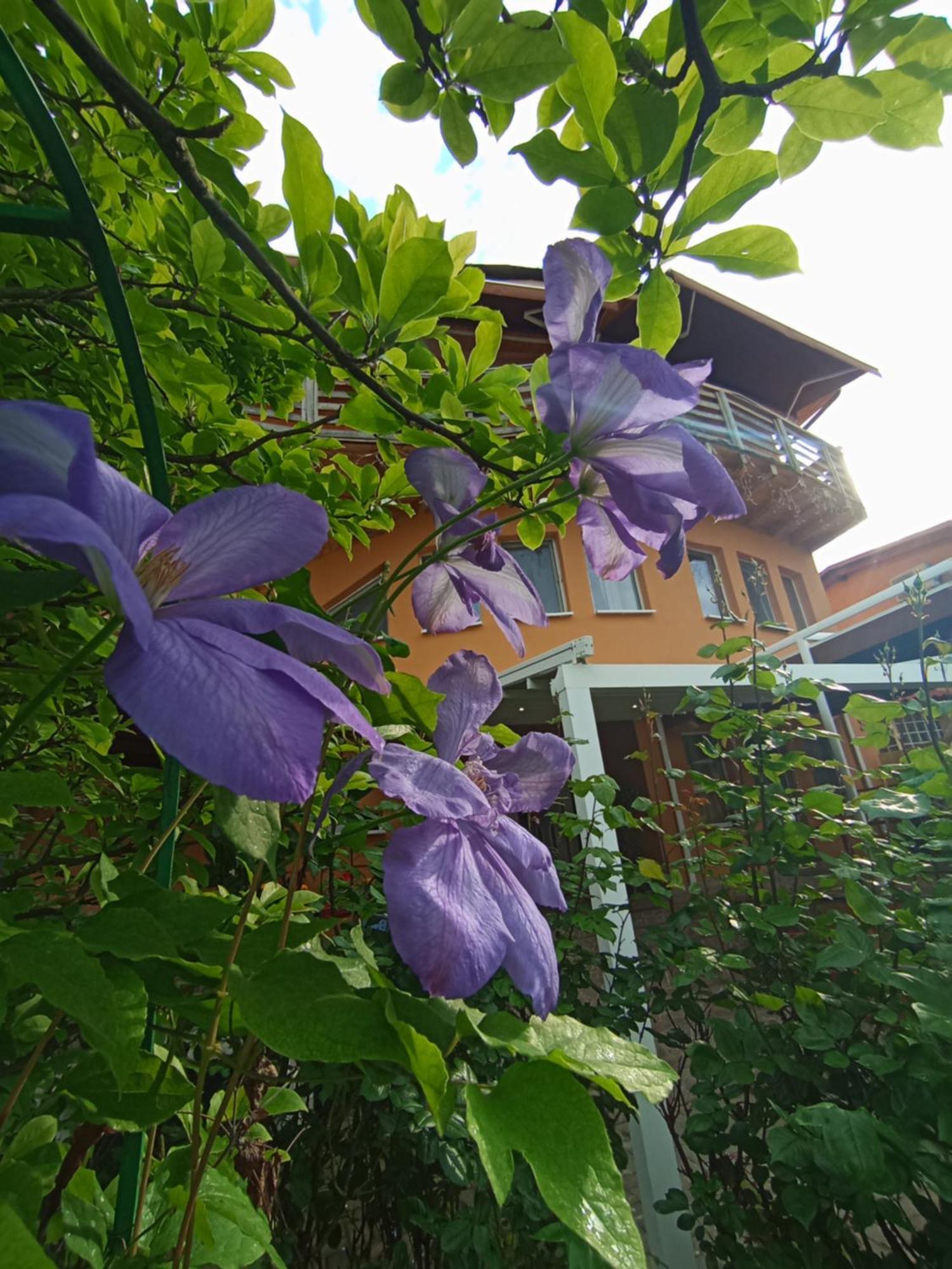Casa Tudor 图尔达 外观 照片
