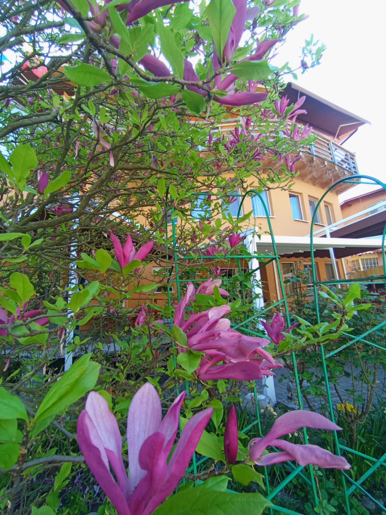 Casa Tudor 图尔达 外观 照片